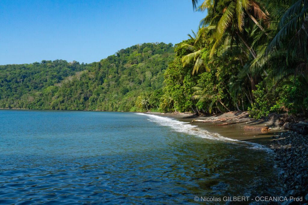 Plage - Costa Rica